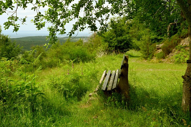 罚不满而走 罚不满而走