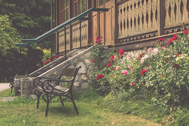 本文将为您 本文将为您